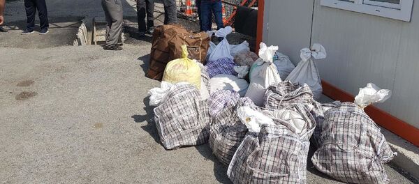 Kaçak salep soğanı - Sputnik Türkiye