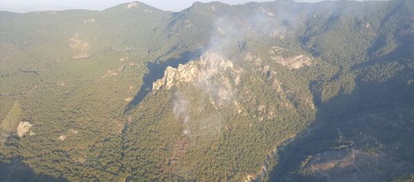 İzmir'de yangın - Sputnik Türkiye