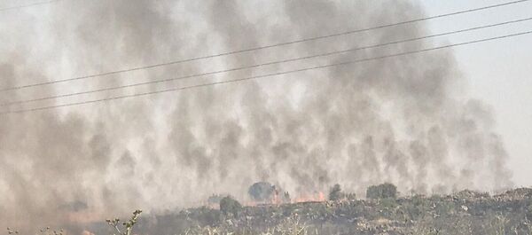 Manastır zeytinliklerinden sonra bu kez de Süryanilerin üzüm bağlarında yangın - Sputnik Türkiye