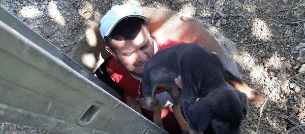 Adana'nın Tufanbeyli ilçesinde, rögara düşen köpek yavrusu çocukların dikkati sayesinde kurtarıldı. - Sputnik Türkiye