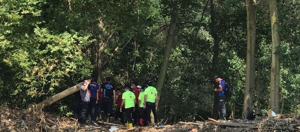 Düzce'deki sel felaketi Düzce'deki sel felaketi - Sputnik Türkiye