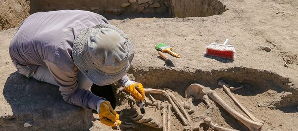 Van'da kafatası olmayan 2700 yıllık iskelet bulundu Van'da kafatası olmayan 2700 yıllık iskelet bulundu - Sputnik Türkiye