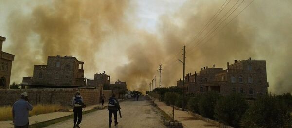 Mardin’in Nusaybin ilçesinde bulunan Bagok Dağı'nın 6 köyünün sakinleri yangının yaklaşması karşısında tahliye hazırlığına başladı. - Sputnik Türkiye