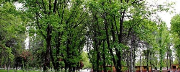 Atatürk Orman Çiftliği  - Sputnik Türkiye