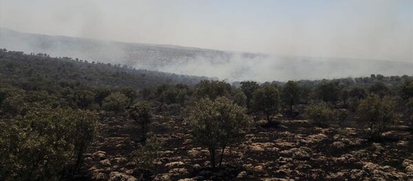  Mardin'in Midyat ve Nusaybin ilçeleri arasındaki ormanlık alanda çıkan yangın kontrol altına alındı - Sputnik Türkiye