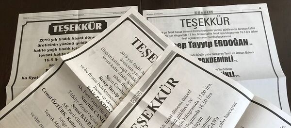 Giresun Ziraat Odası - Sputnik Türkiye