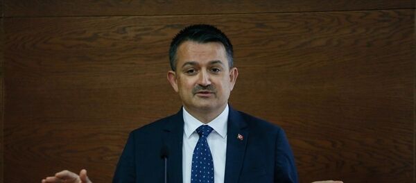 Bekir Pakdemirli - Sputnik Türkiye