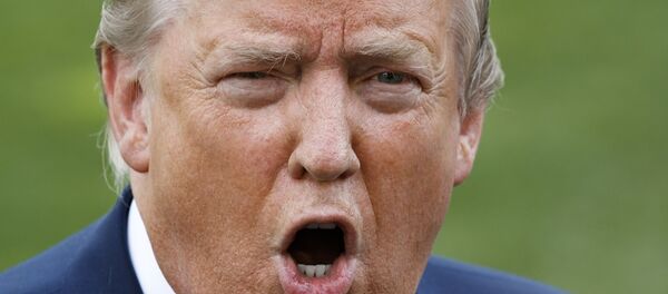 Donald Trump - Sputnik Türkiye