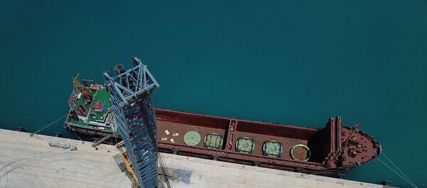 Akkuyu NGS - Sputnik Türkiye