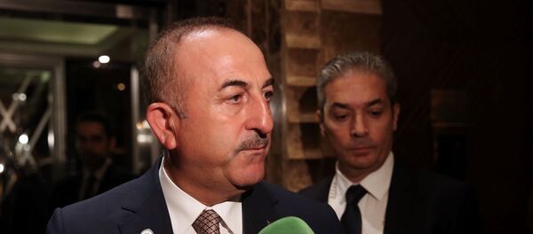 Mevlüt Çavuşoğlu - Sputnik Türkiye