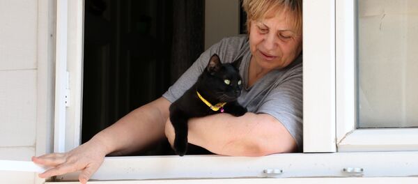 Sokak hayvanlarının su ve mama kaplarını molozla doldurmuşlar - Sputnik Türkiye