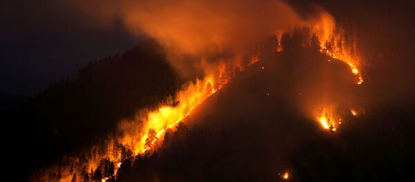 Rusya'nın Sibirya bölgesinde orman yangınları - Sputnik Türkiye