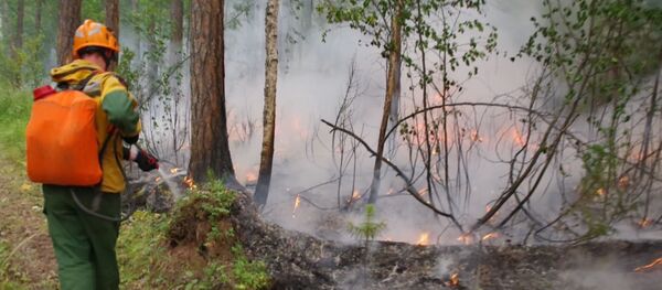 Rusya yangın - Sputnik Türkiye