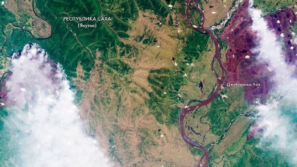 Roscosmos, Sibirya’daki orman yangınlarının uzay görüntülerini yayınladı - Sputnik Türkiye