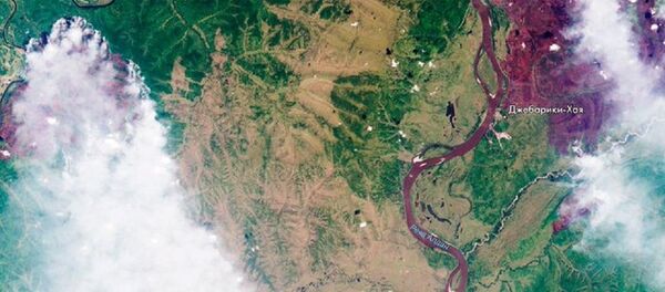 Roscosmos, Sibirya’daki orman yangınlarının uzay görüntülerini yayınladı - Sputnik Türkiye