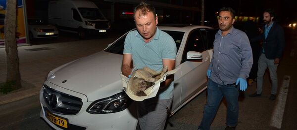 Yolda bulduğu yaralı köpeği kurtarmak için 80 kilometre katetti - Sputnik Türkiye