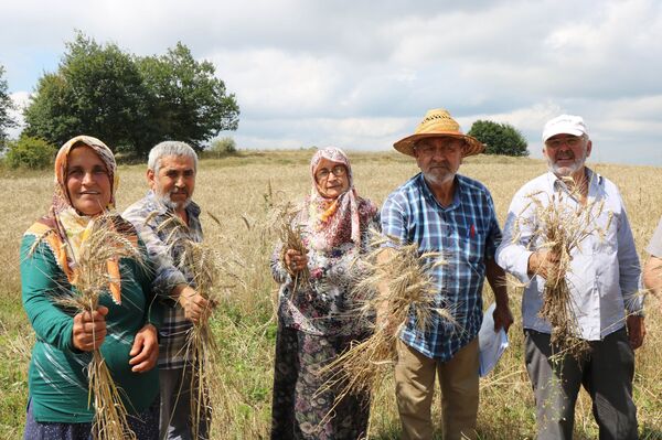 Tosun Paşa filmi Samsun'da gerçek oldu: İki ilçe yıllardır 180 dönümlük araziyi paylaşamıyor - Sputnik Türkiye