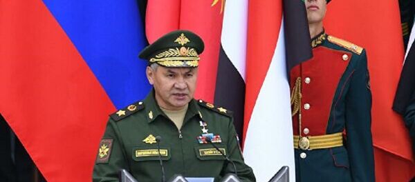 Şoygu - Sputnik Türkiye