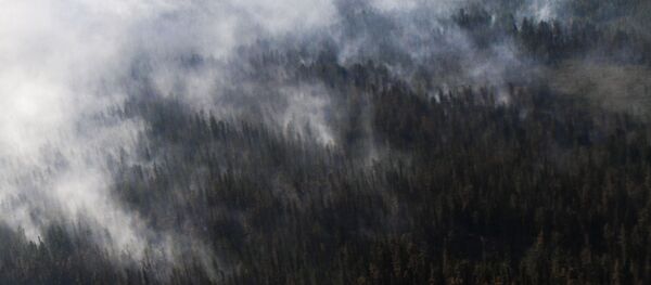 Sibirya'da orman yangını Sibirya'da orman yangını - Sputnik Türkiye