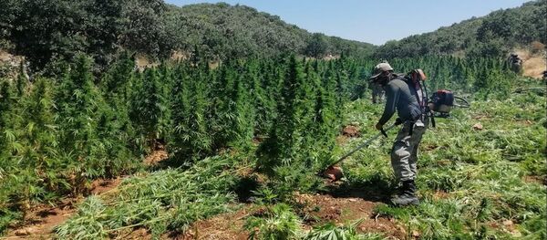 Hint keneviri - Sputnik Türkiye