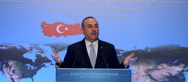 Mevlüt Çavuşoğlu - Sputnik Türkiye