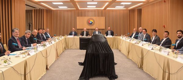 Yerli otomobilin prototipi ilk kez sergilendi - Sputnik Türkiye