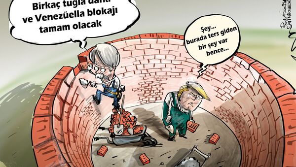 Karikatür  - Sputnik Türkiye