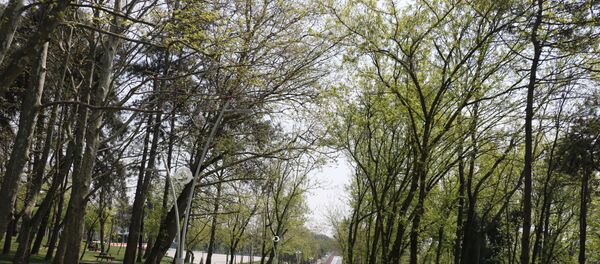 Esenler - Millet Bahçesi - Sputnik Türkiye