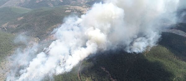 Bursa'da 9 farklı noktada orman yangını Bursa'da 9 farklı noktada orman yangını - Sputnik Türkiye