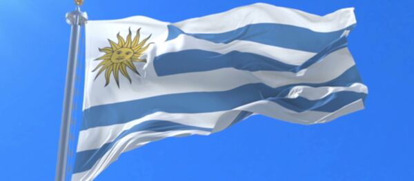 Uruguay Bayrağı - Sputnik Türkiye