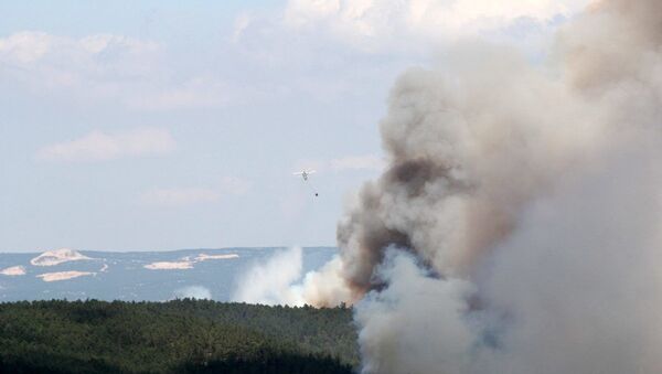 Bursa'daki orman yangını 12 saat sonra 'kısmen' kontrol altına alındı - Sputnik Türkiye