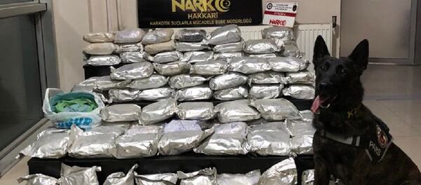 Atıp kaçtığı torbadan 108 kilo eroin çıktı Atıp kaçtığı torbadan 108 kilo eroin çıktı - Sputnik Türkiye