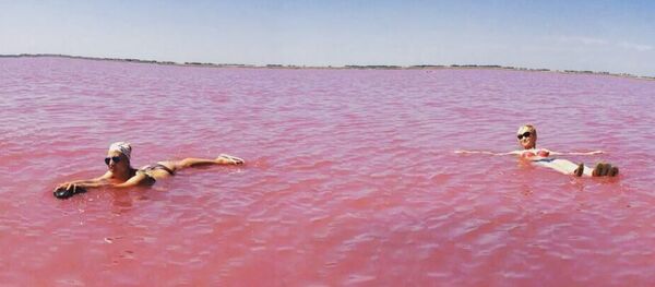 Burlinskoye Gölü - Sputnik Türkiye