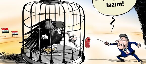 Karikatür  - Sputnik Türkiye