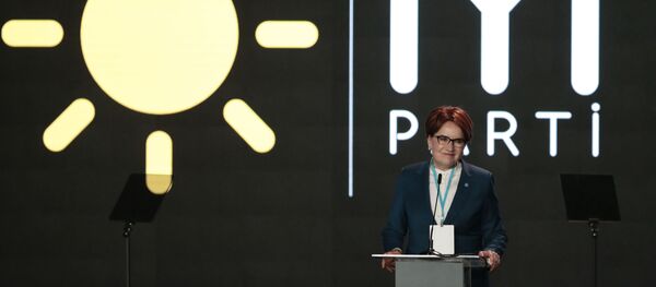 Meral Akşener - Sputnik Türkiye