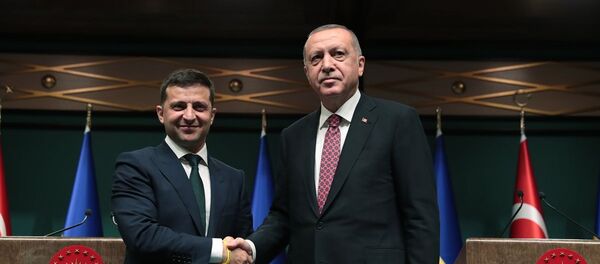 Türkiye Cumhurbaşkanı Recep Tayyip Erdoğan ve Ukrayna Devlet Başkanı Vladimir Zelenskiy - Sputnik Türkiye