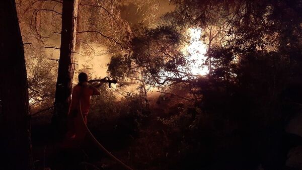 Antalya'nın Manavgat ilçesinde orman yangını - Sputnik Türkiye
