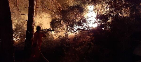 Antalya'nın Manavgat ilçesinde orman yangını - Sputnik Türkiye