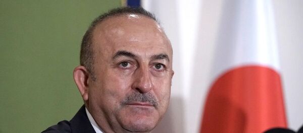  Dışişleri Mevlüt Çavuşoğlu Tokyo'da düzenlenen basın toplantısına katıldı - Japonya - Sputnik Türkiye