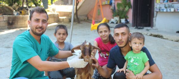 Çift cinsiyetli oğlak - Sputnik Türkiye