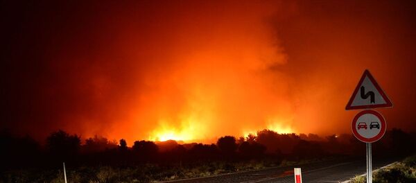 Çanakkale'nin Eceabat ilçesinde çıkan orman yangınını kontrol altına alma çalışmaları sürüyor. - Sputnik Türkiye