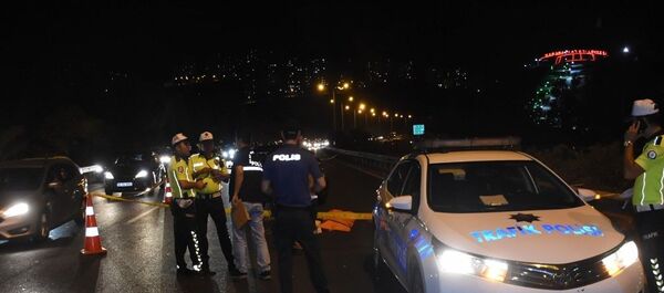 İYİ Partili Milletvekilinin otoyolda çarptığı yaya hayatını kaybetti - Sputnik Türkiye