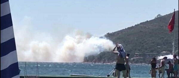 Burgazada - yangın - Sputnik Türkiye