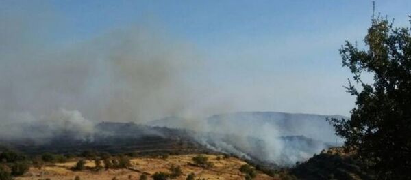 Güney Kıbrıs, orman yangını - Sputnik Türkiye