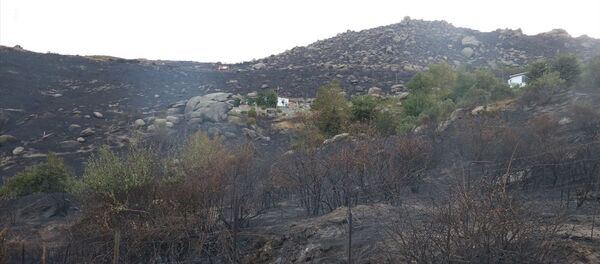 Marmara Adası yangın  - Sputnik Türkiye