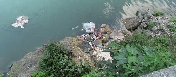 Artvin'de baraj gölüne atılan atıklar - Sputnik Türkiye