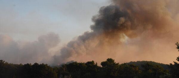Eskişehir’de orman yangını Eskişehir’de orman yangını - Sputnik Türkiye