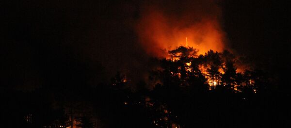 Eskişehir'deki orman yangınını söndürme çalışmaları devam ediyor Eskişehir'deki orman yangınını söndürme çalışmaları devam ediyor - Sputnik Türkiye