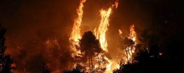 Yunanistan'da orman yangını Yunanistan'da orman yangını - Sputnik Türkiye