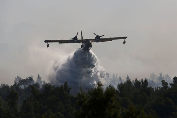 Yunanistan'da orman yangını  - Sputnik Türkiye